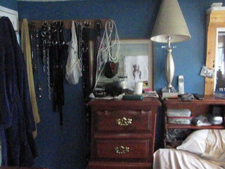 Fastninja's studio: Hraní s mým NOVÝM ocasem ... dárek od paní...