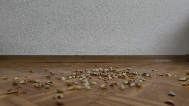 Your QueenXoXo: Femeie de 130 kg care se plimbă pe shells de fistic -...