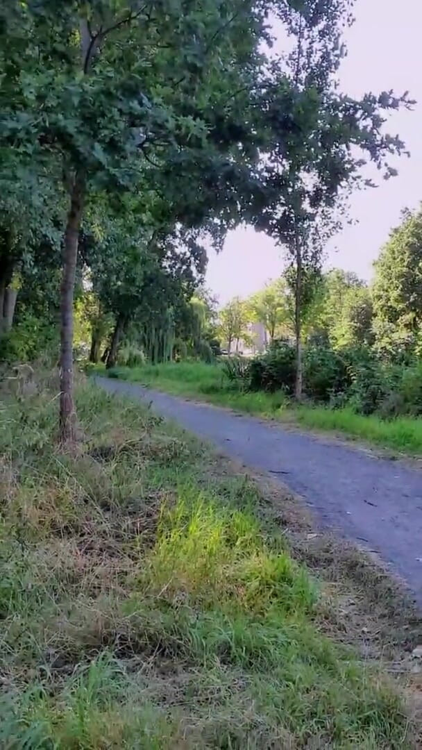 Slutboyben: Exhibitionistin