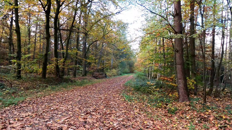Bouncy Tits Action: Walking Naked Through the Woods After Her Vagina Slapping