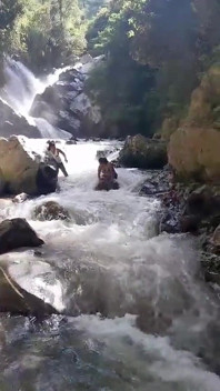 Sexy Couple Wants to Have Sex in the Jungle