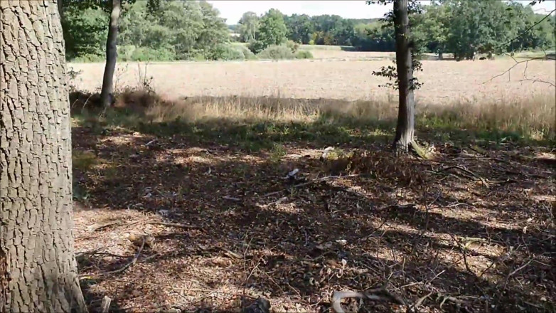 UserBitch1: Šukána Na Okraji Lesa