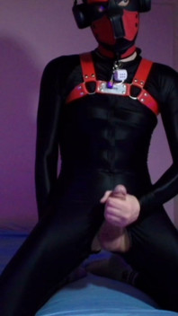 Needy Pet Jerks His Cock on His Knees