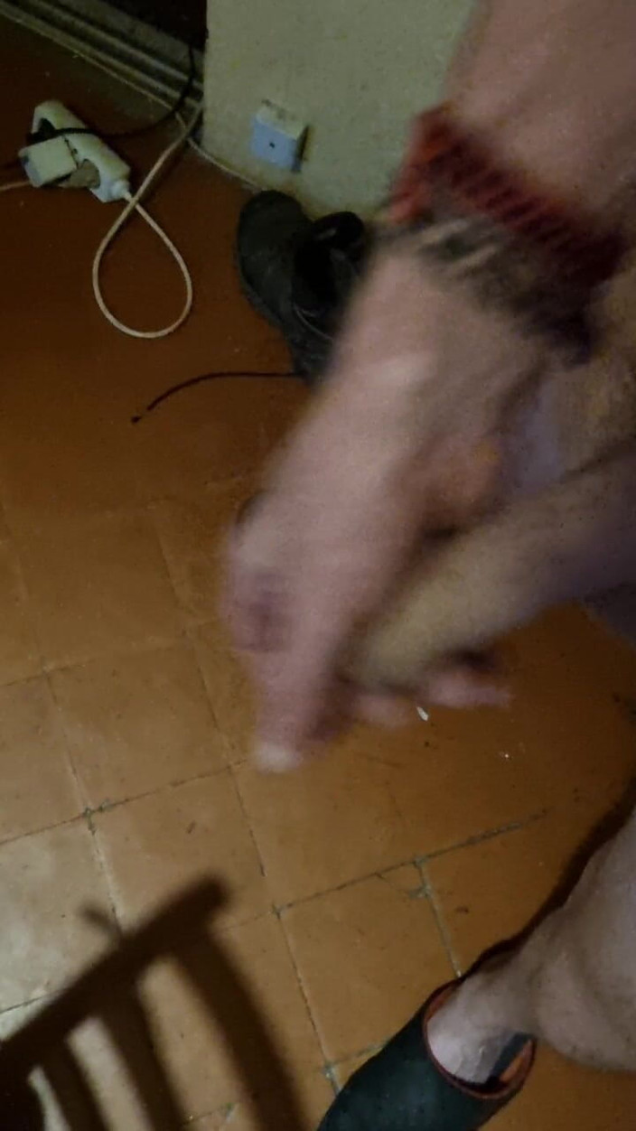 Mr sexhungry dick: 私のチンコと踊る玉