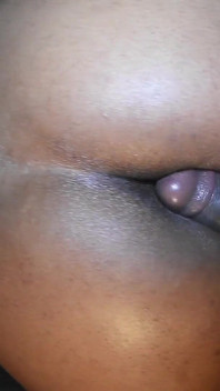Honey Dipped Creamy Juicy Doggystyle