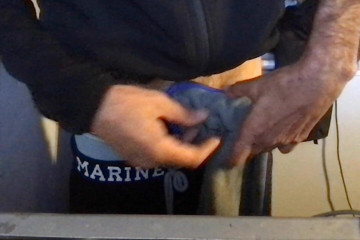 BrooklynsBigDick: Playtime