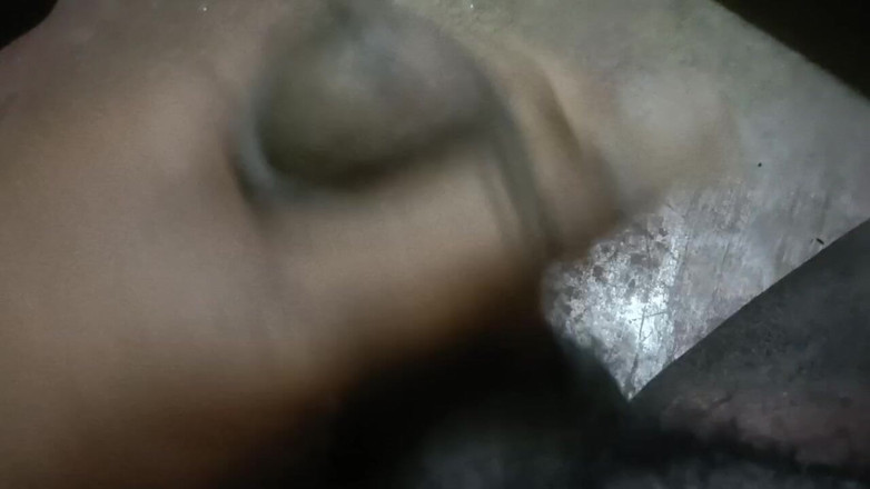 LegalVector8: Hintçe sikiş