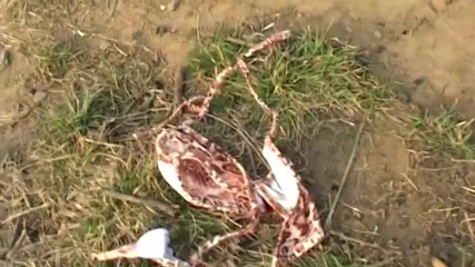 Real Home Made: Giochi perversioni di una vera coppia nel parco - amatoriale reale...