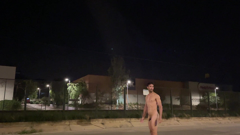 Paul Williams: 晚上赤身裸体地穿过社区