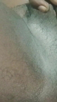 My Videos