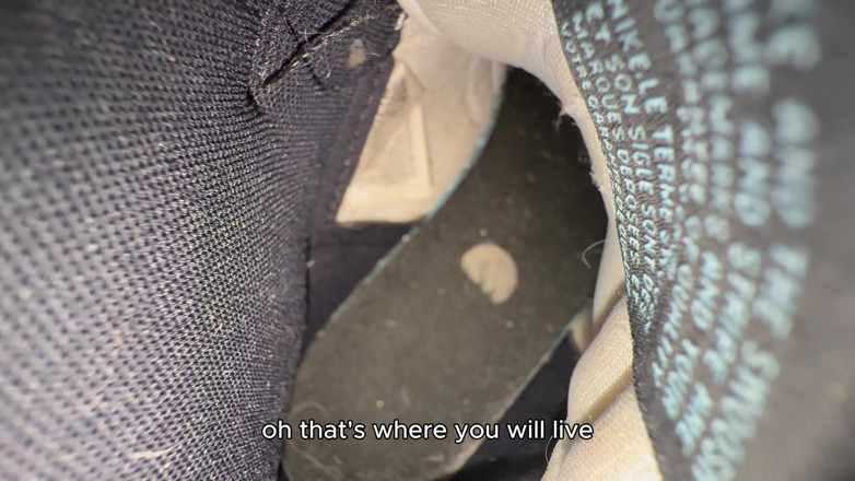 alejakink: My Shoe Will Be Your House