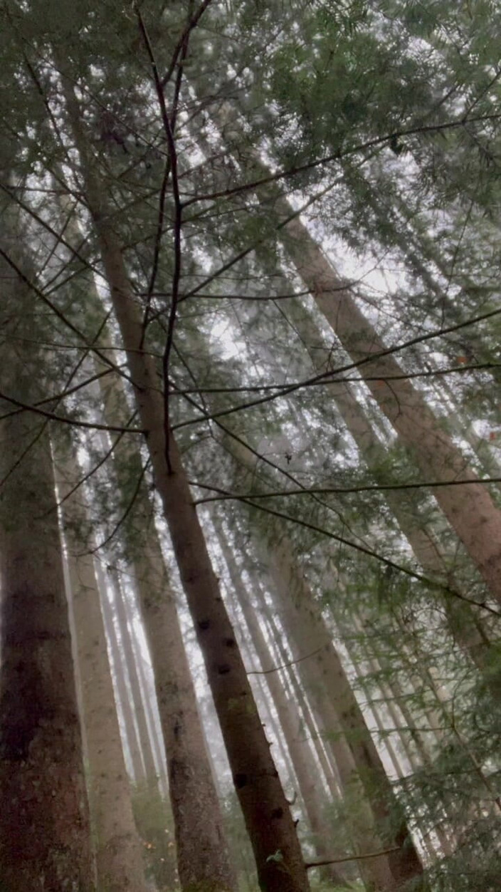 Yoogoo82: Běhání v lese a svlékání se úplně nahé