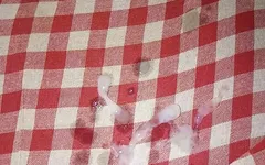 Puja Fucking Sister in Law Me Pussy Fucking