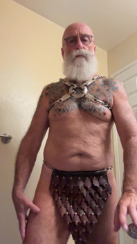 Custom Harness