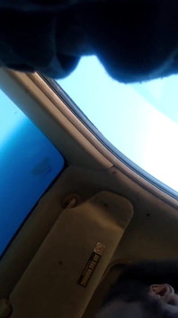 1000017017.mp4