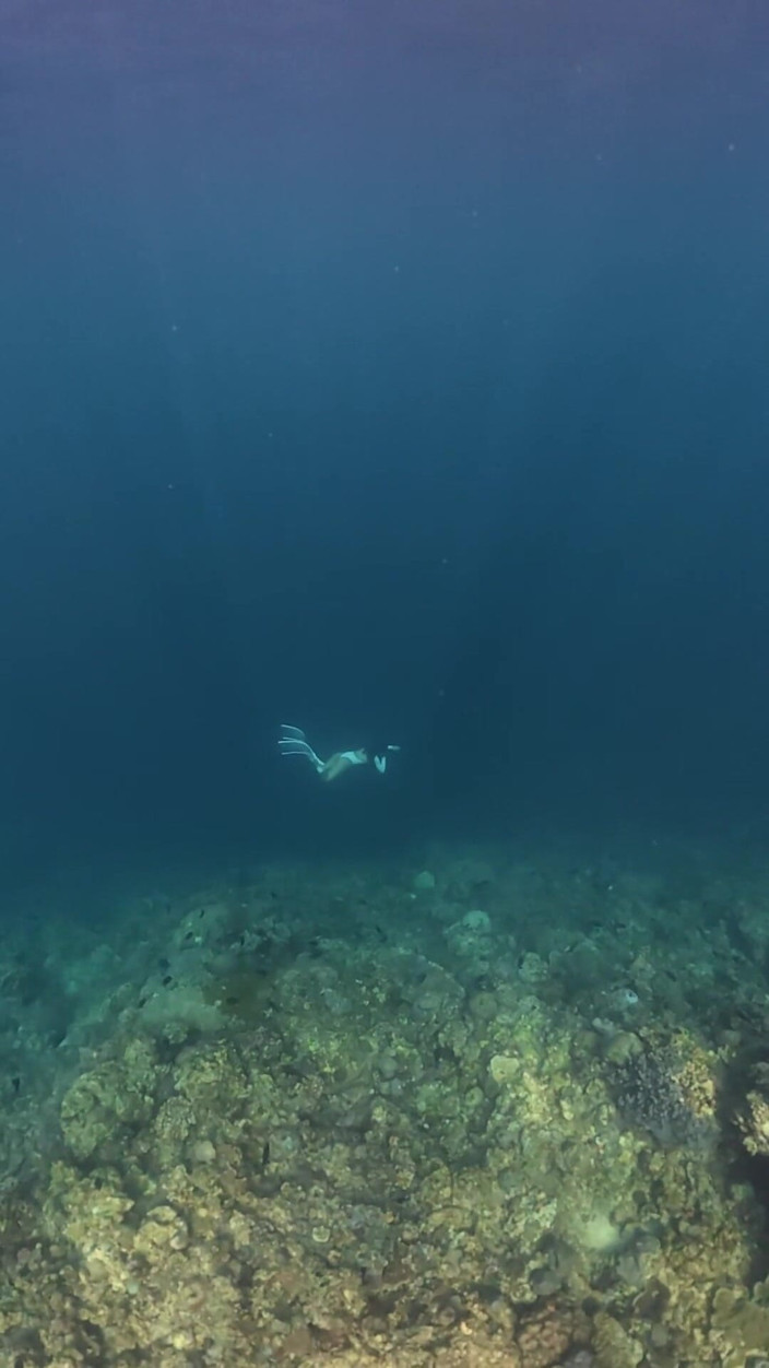 creamberryfairy: Leker vid havet