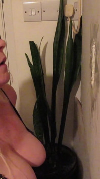 Gloryhole'da amatör