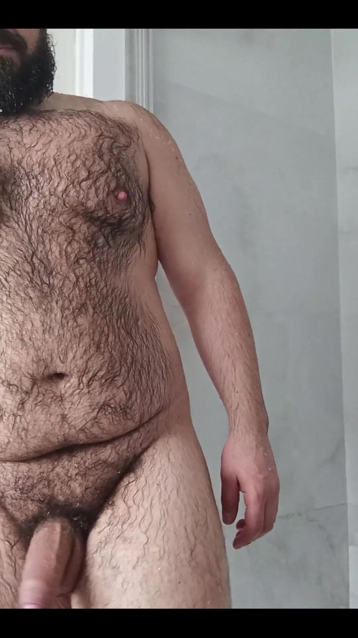 Ulysses the bear: Sèche-cheveux