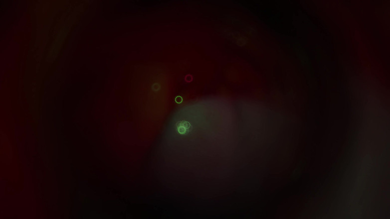 Asdfghjl2025: B025 Asian Beauty Tentacbondage Slave Face Sitting, Farting, Anal Licking