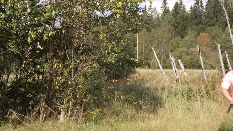 Murkovski: Picnic, sesso e sborra sul culo in una calda giornata...