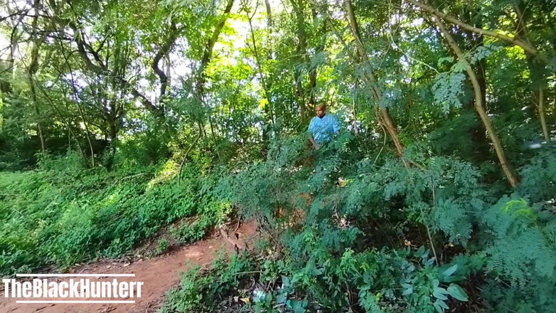 TheBlacKHunterr: Passenger Caught the Bus Driver in the Woods