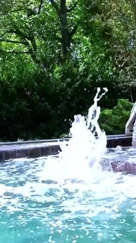 Două lesbiene excitate se masturbează cu jucării în aer liber lângă piscină