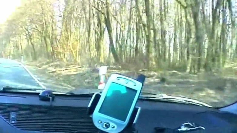 My German Amateurs: Blonde Sucks Cock and Shows Wet Pussy in Car