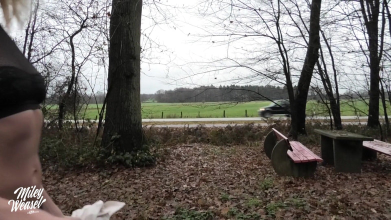 Miley Weasel: Miley Weasel amatur blonde kongkek awam berisiko di dalam kereta