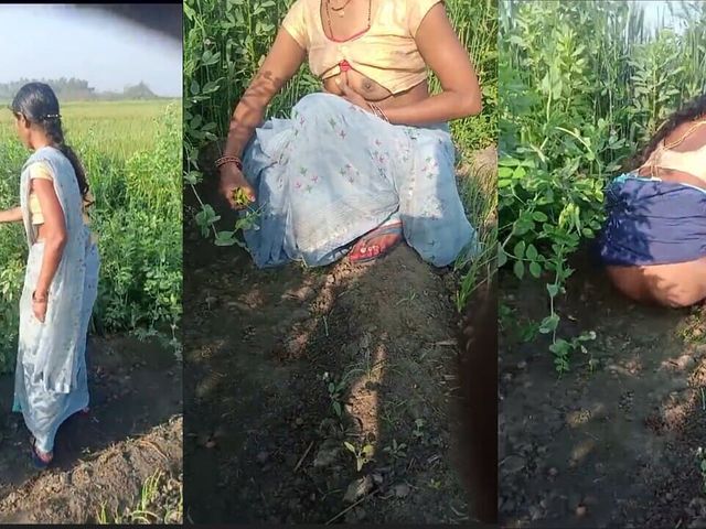 Village Bhabhi Outdoor Fucked Video (Rambha Devi)