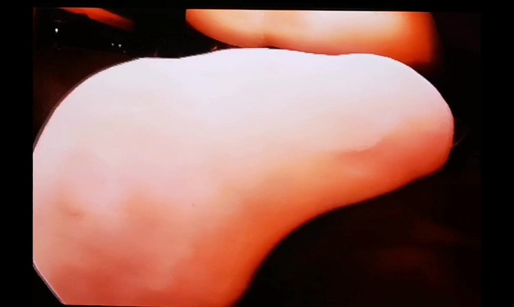 Monster_Meat_: 익스트림 비디오. 포도당으로 가득 찬 2,5리터