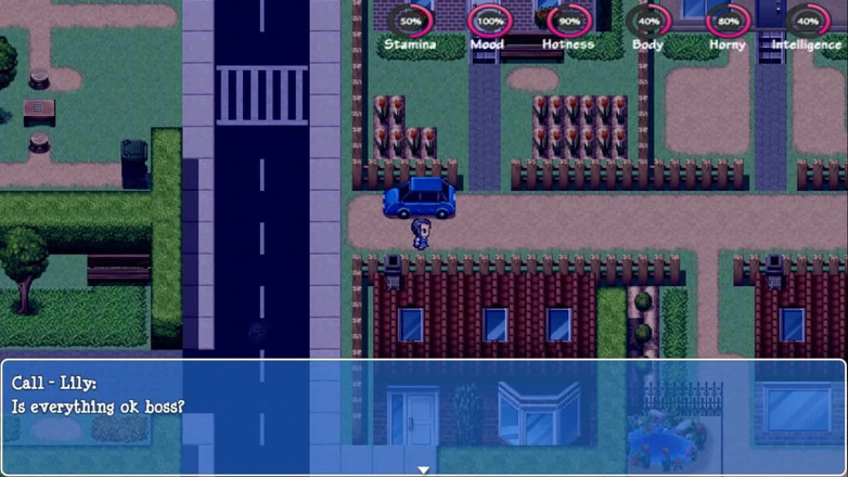Dirty GamesXxX: Lily of the Valley: huisvrouw en een zakenvrouw