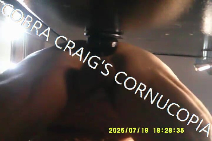COBRA CRAIG: Upshot Sadly the Closest I Will Ever See to Stepmamma