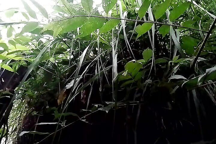 Gangbang straight: Randi läckage