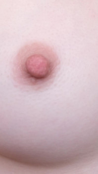 My Nipples