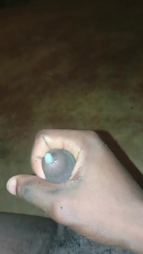 Africatrans: Sommy, Douce Chatte