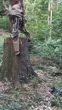 Honitba Na Pařezu, Část První