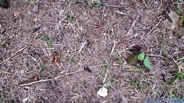 JasmineJ9966: Uma noite ousada