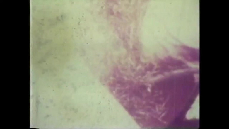 Vintage Usa: Ayaklarında top tutuklar