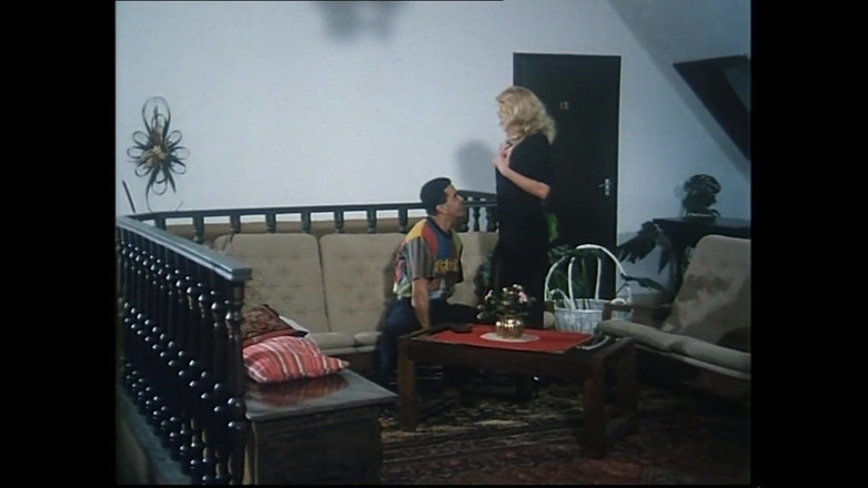 Hard Accademy: De Cock Sucker (film)