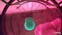 Kyla Keys: Een zicht vanaf de bodem