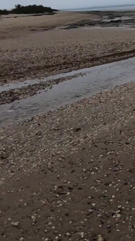 Stripping Naked and Walking on Public Beach