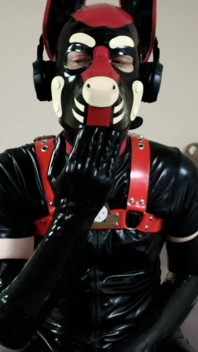 Hot Wax Dripping on This Needy Pup