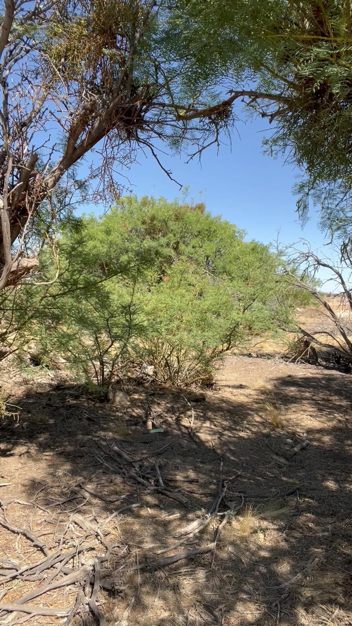 TSJade95: Tsjade komt weer klaar buitenshuis