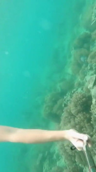 Snorkel Slut: Tight Bikini, Dive Mask & Underwater Fin Tease