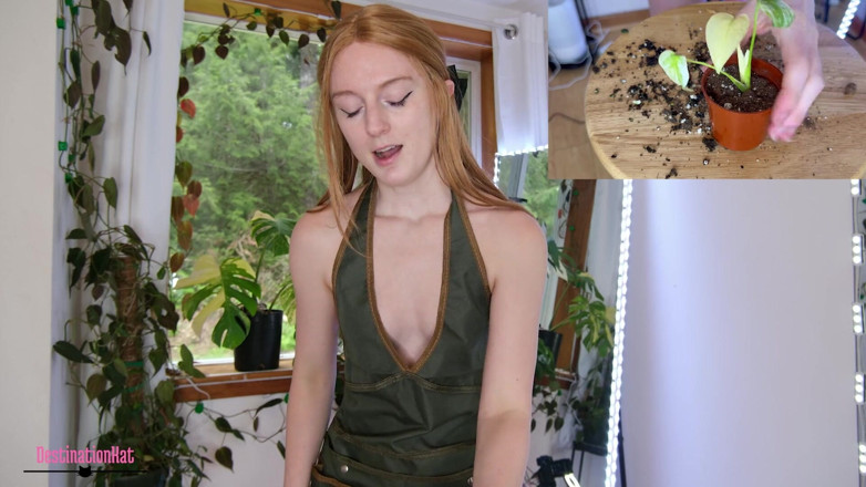 Destination Kat: Trädgårdsarbete med Kat- Repotting Monsteras Sfw