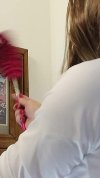 Dusting Picture