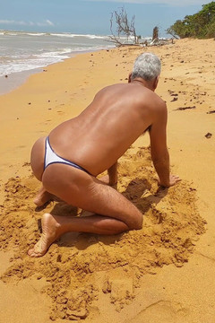 Ladysilvas: Ladysilva på stranden Vilken het rövhora