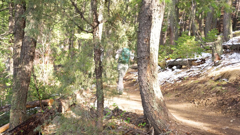 Leo Valentino: Hot Blonde Christina Savoy Fucks Stranger in the Woods