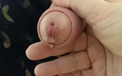 Brincando com o Pênis