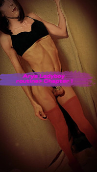 Introduction to the Typical Day of a Sissy Model